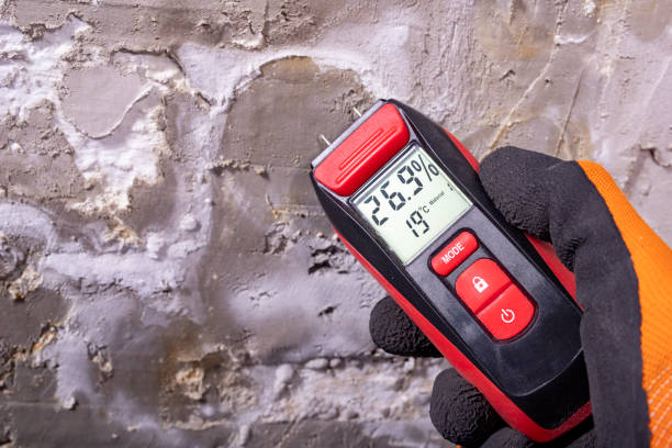 Best Emergency Mold Removal  in Briarcliff Manor, NY