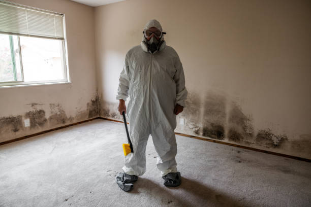 Best Fast Mold Removal  in Briarcliff Manor, NY